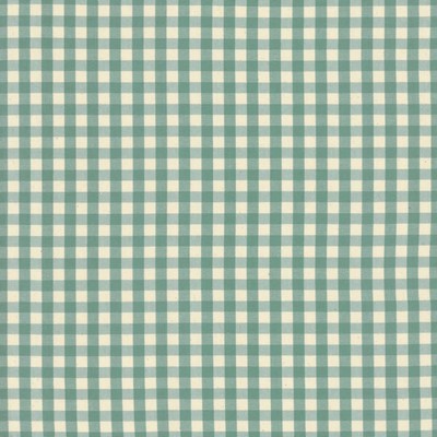Kasmir Junction Plaid TURQUOISE       